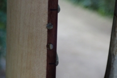 P7300118