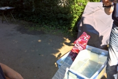 Kopfplatte swirlen